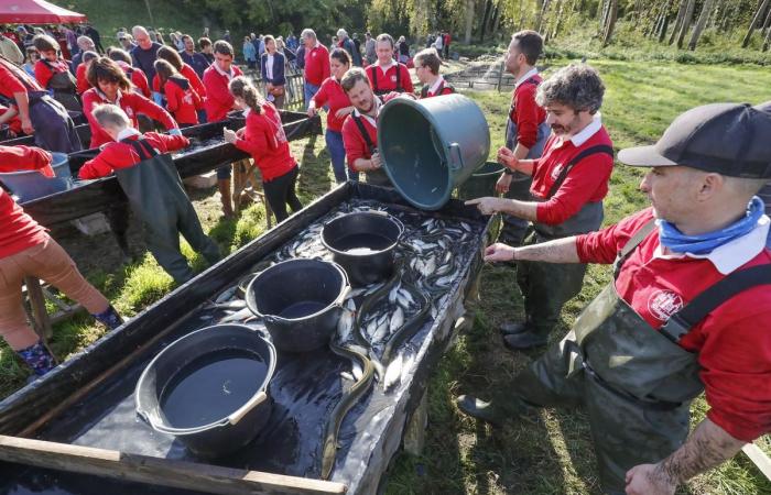 in Saint-Maigrin ein leerer Teich und sehr frischer Fisch zum Mitnehmen