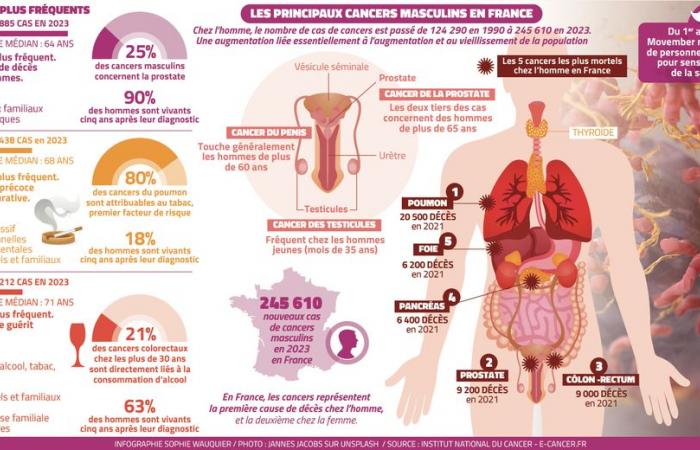 „Partikel 10.000 Mal kleiner als ein Sandkorn gegen Prostatakrebs“: In Montpellier das Rennen um eine neue Behandlung