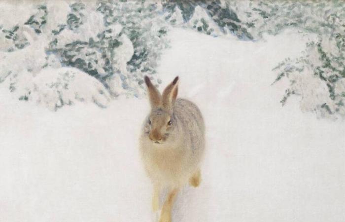 Das wilde Schweden des Malers Bruno Liljefors