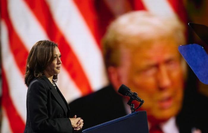 Kamala Harris oder Donald Trump, das Gewicht der Expatriate-Stimme – L’Express