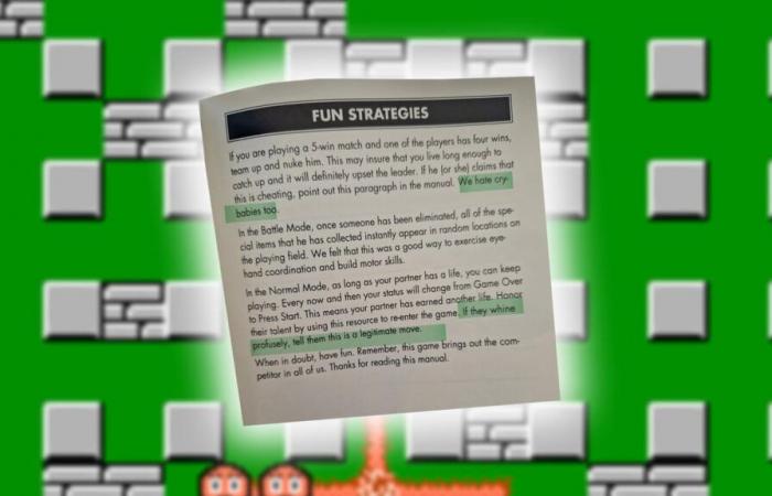 „Wir hassen auch Heulsuse“: Das Handbuch zu diesem Nintendo-Videospiel aus den 90ern ist der Wahnsinn, sein Autor hat sich völlig austoben lassen!