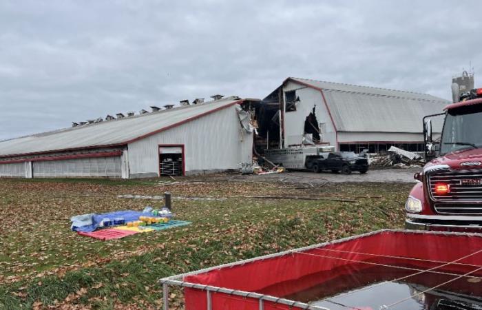 Großbrand auf einer Lyster-Farm