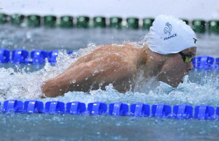 Der Schwimmverband bereitet die Nachfolge der französischen Mannschaft mit Blick auf die Olympischen Spiele 2028 vor