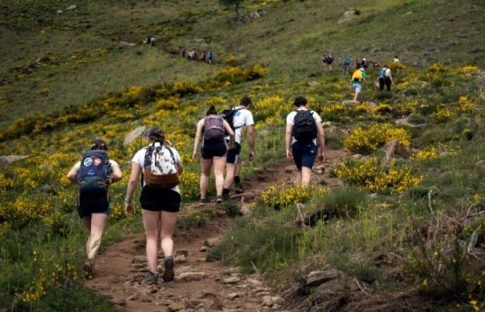 Laufen boomt immer noch, Wandern zieht immer mehr Frauen an: News