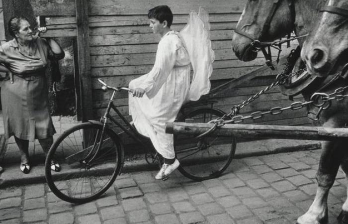 Fotografie wird in drei Büchern erzählt, die es zu entdecken gilt