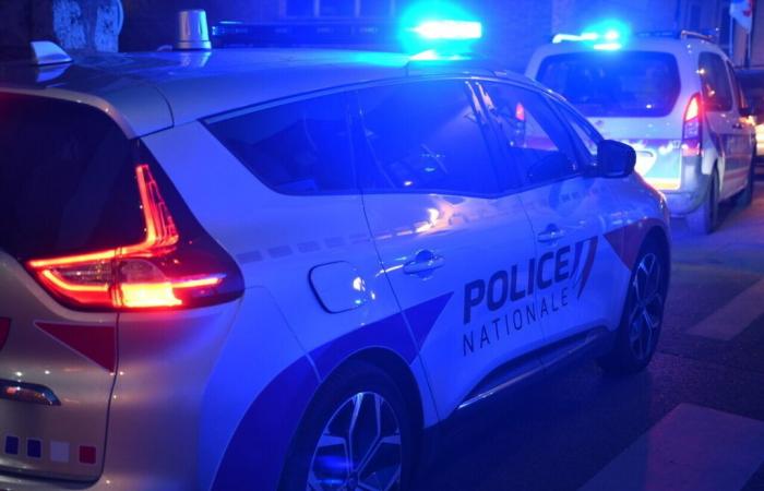 Roubaix. Betrunken griff er drei Polizisten an, nachdem er eine Überwachungskamera in Brand gesteckt hatte