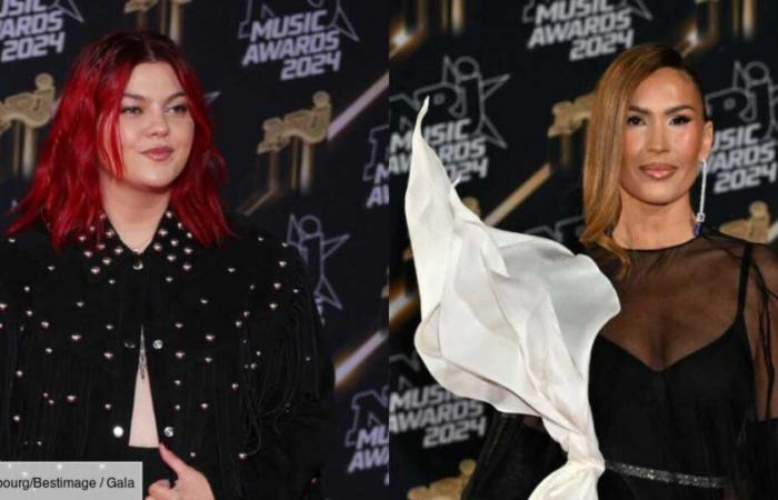 FOTOS – Louane, Slimane, Vitaa… Ein Rückblick auf die schönsten Looks der 26. NRJ Music Awards