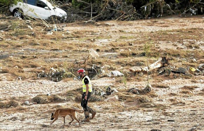 Überschwemmungen in Spanien: Suche nach Leichen geht mit neuer Verstärkung weiter [Vidéo]