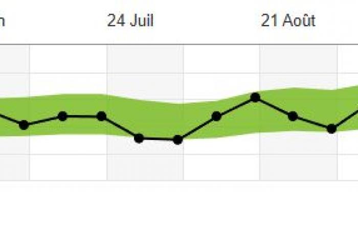 Ich habe die Decathlon-App fünf Monate lang genutzt, um einen Halbmarathon zu laufen