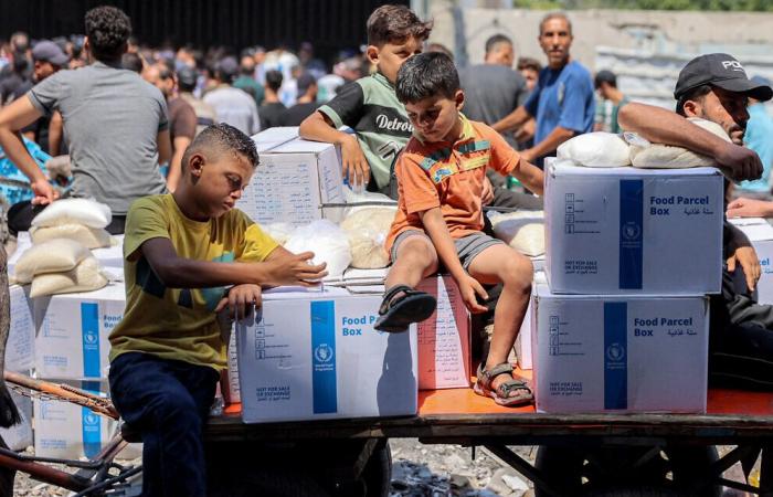 Welche Auswirkungen haben die neuen israelischen Gesetze auf die UNRWA-Aktivitäten?