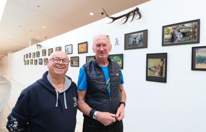 Jean-Paul Rickelin stellt seine Tierfotos in der ehemaligen Géant-Einkaufsgalerie in Aurillac aus