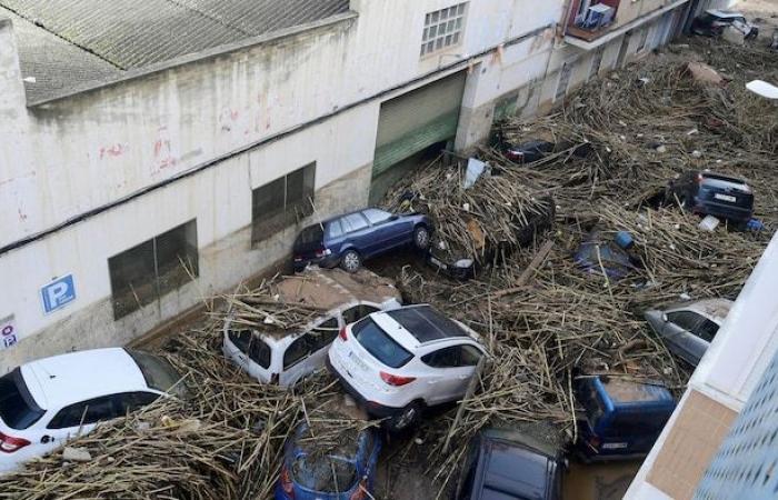 In Ivanohs Augen: Valencia, roter Koffer und Hydrant