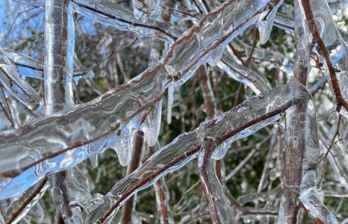 Diese großartigen Wetterbilder sind atemberaubend