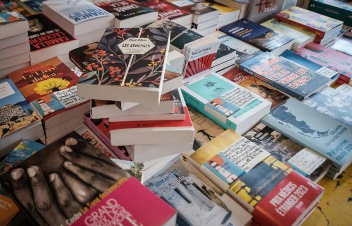 Mazarine Pingeot, Sally Rooney, Gérard de Cortanze, Pascale Dietrich… Die Auswahl der „Sud Ouest“-Bücher