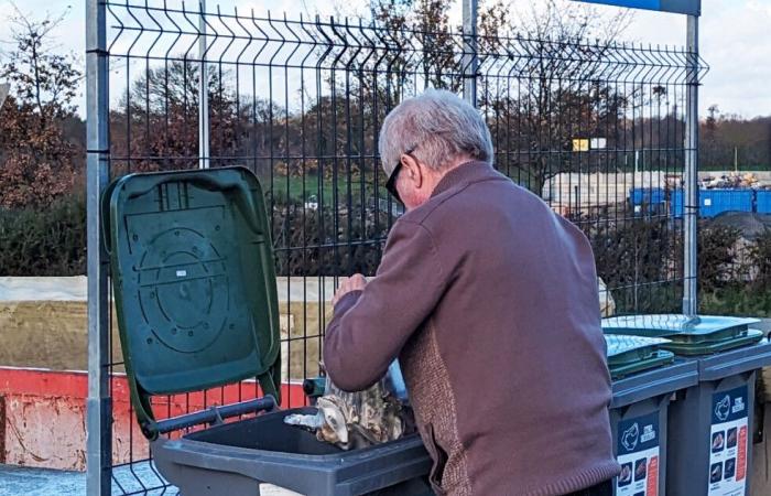 eine Sammlung von Muscheln in sieben Recyclingzentren