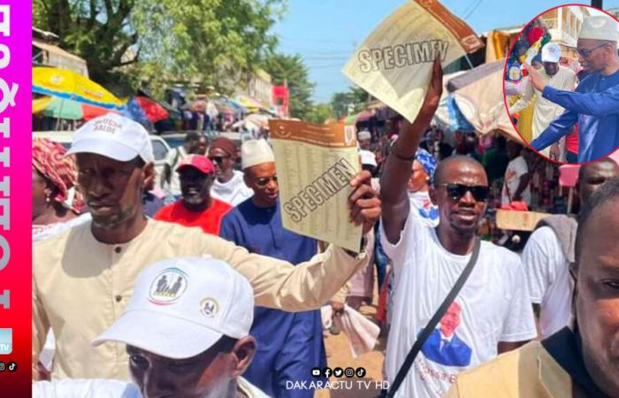 Die Takku-Wallu Senegal-Koalition auf dem Zentralmarkt, in der ländlichen Welt …