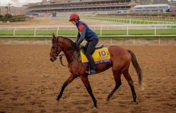 Selbst für Aidan O’Brien bleibt es eine Leistung, die Amerikaner auf dem Feld zu schlagen