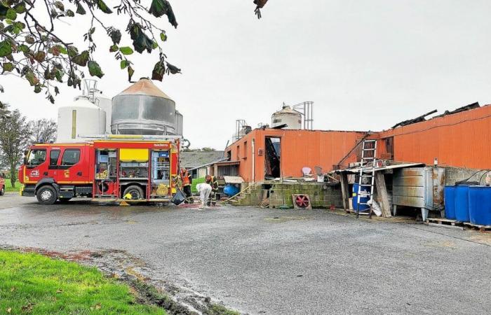 In Lamballe-Armor sterben 2.000 Ferkel und 90 Sauen bei einem Brand in einem Zuchtgebäude