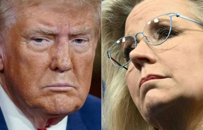 Donald Trump schlägt vor, seine Gegnerin Liz Cheney „vor eine Waffe zu stellen“, protestiert Kamala Harris