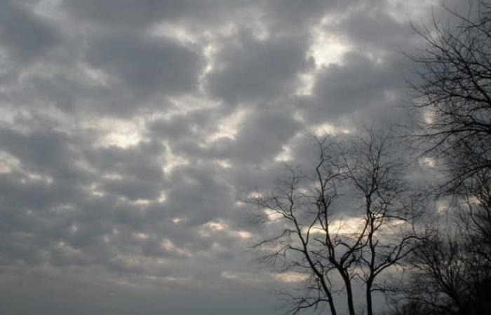 Das heutige Wetter: bewölkter Himmel und Regentropfen in diesen Gebieten