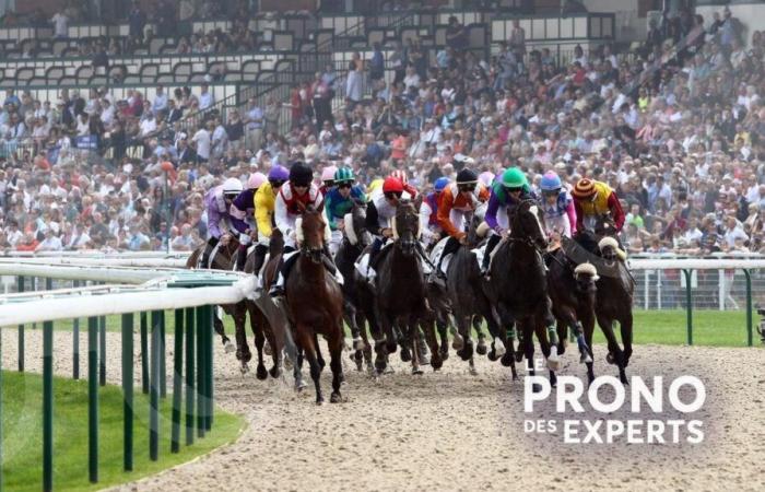 Expertenprognosen für Treffen 1 in DEAUVILLE an diesem Sonntag, 3. November