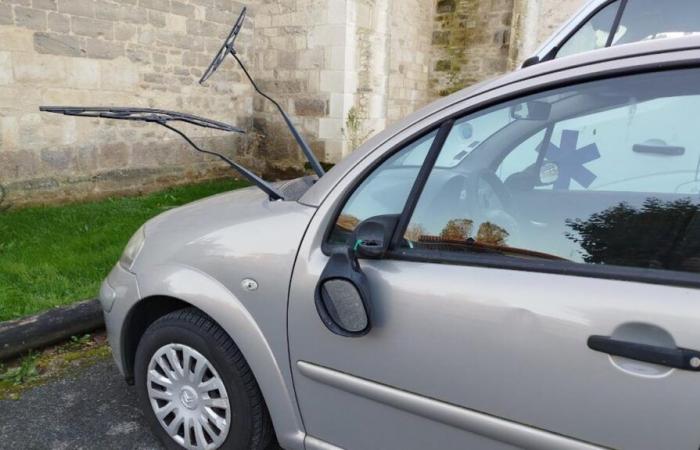 Autos und ein Haus wurden in der Halloween-Nacht beschädigt