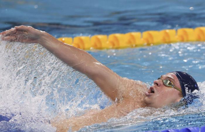 Dritter Hattrick bei der Schwimmweltmeisterschaft für das Wunderkind aus Toulouse