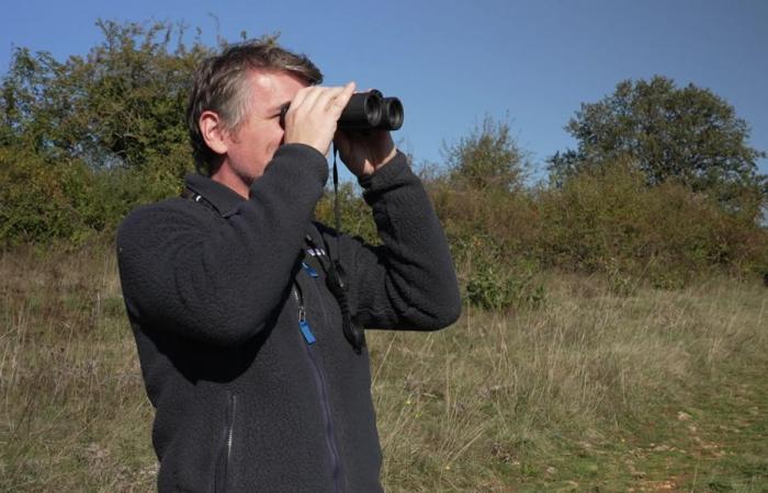 Zwischen Ebene und Berg sind diese drei Orte mit seltener und fragiler Artenvielfalt zu einem Naturschutzgebiet geworden