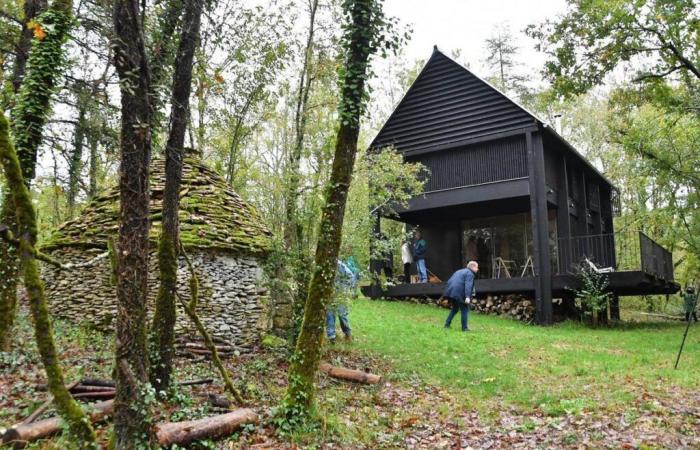 Video. Entdecken Sie im Périgord ein erstaunliches schwarzes Holzhaus