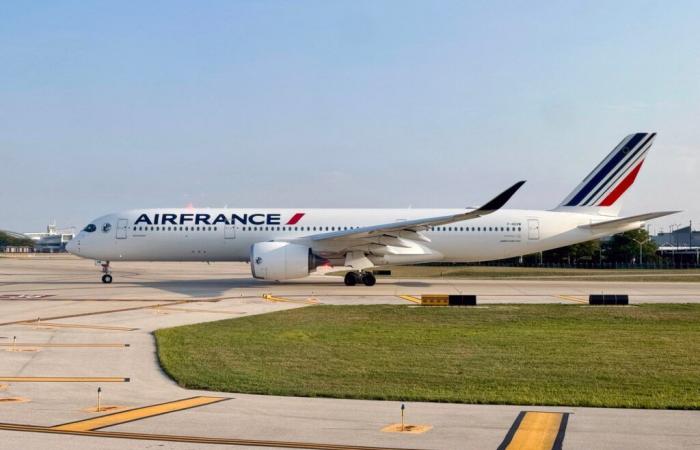 Air France stellt Flüge über dem Roten Meer ein