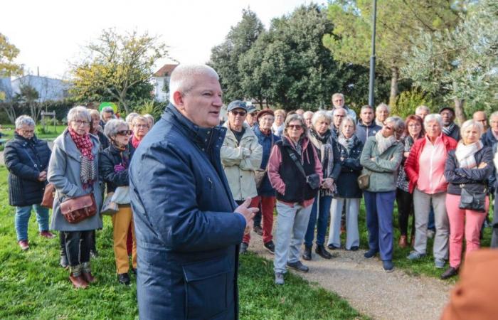 Sie fordern die Wiederaufnahme der parlamentarischen Debatte über einen würdevollen Tod