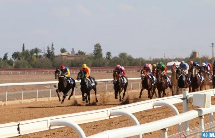 Marrakesch: Großer Erfolg der 3. Auflage des African Horse Racing Grand Prix