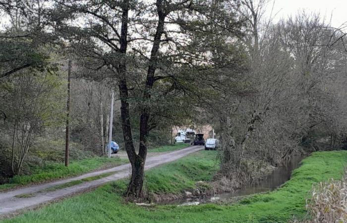 Ein Jäger wurde in der Dordogne bei einer Wildschweinjagd mit einer Bauchwunde tot aufgefunden