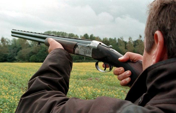 Die Leiche eines erschossenen Bürgermeisters wurde „auf einer Wiese liegend“ gefunden: Eine Woche lang auf der Flucht, wurde der „verrückte Jäger“ in Österreich tot aufgefunden