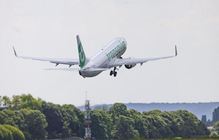 Flughafen Toulouse. Hier sind drei neue (sonnige) Ziele aus der Pink City