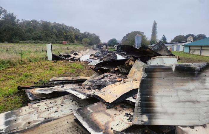 8.000 Geflügel sterben bei einem Brand im östlichen Loiret, eine Schwierigkeit für den Züchter, der „bereits ums Überleben kämpfte“