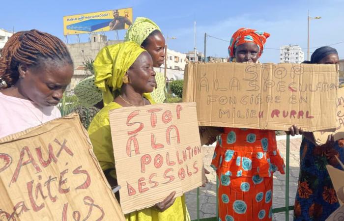 In Dakar marschieren Frauen für das Klima