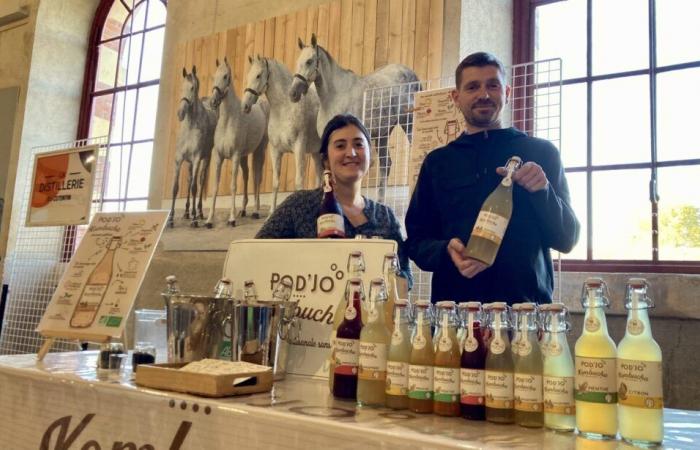 Pauline und Jocelyn stellen in La Manche Kombucha her, ein alkoholfreies Getränk auf Teebasis