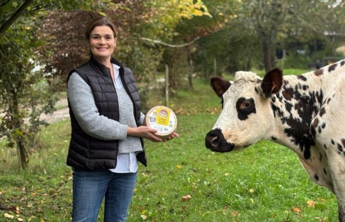 Dieser Bauernhof erhält drei Medaillen für seinen Bio-Rohmilchkäse