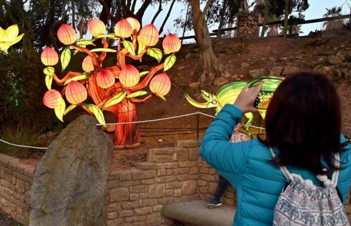 FOTOS – Die Lichter Afrikas im Sigean African Reserve: visuelle Magie in der Nähe von Narbonne