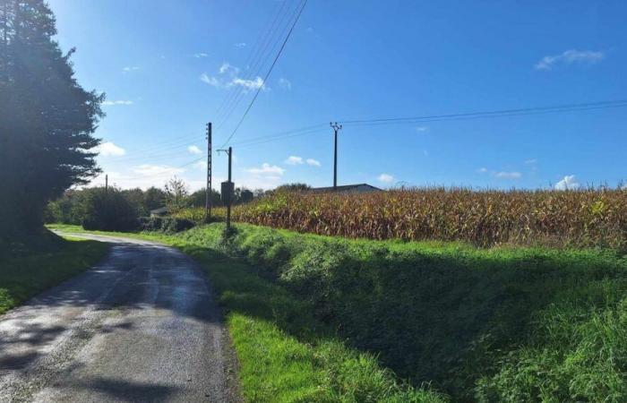 Attentat in einem Maisfeld in der Bretagne