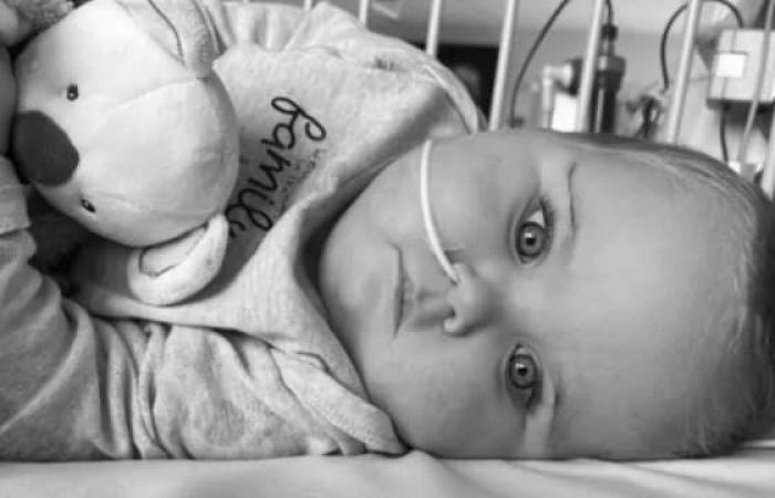 Mathéo, 2 Jahre alt, profitiert von einer doppelten Leber- und Nierentransplantation, eine Premiere in Frankreich für ein Kind seines Alters