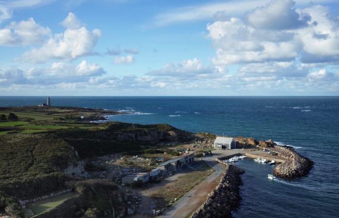 In diesem Hafen von Cotentin wurden zwei schwimmende Schafreste gefunden