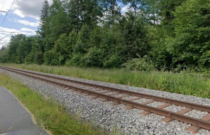 Bahn-Unfall Lützelflüh-Goldbach: Mann am Maadweg von Zug erfasst