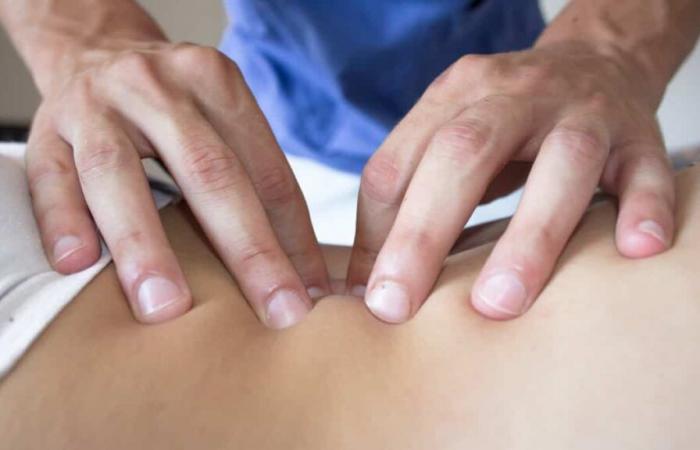 Auf dem Weg zu einer professionellen Ordnung: Laut Osteopathen geht es zu langsam voran