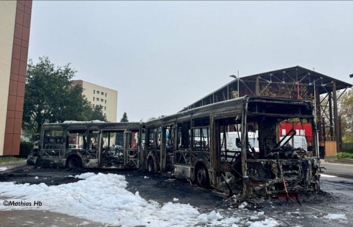 Gewalt und TCL-Busse brannten in der Metropole Lyon: neun Festnahmen