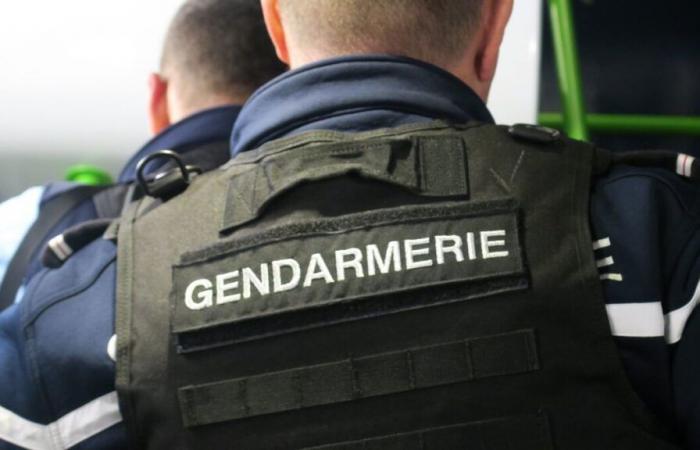 „Wir mussten ihre Aufstellung von Anfang an verhindern“: In der Oise stören die Gendarmen eine Rave-Party