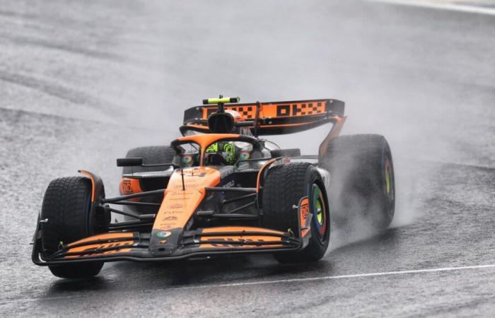 Verfolgen Sie den Großen Preis von Brasilien live mit Lando Norris auf der Pole-Position