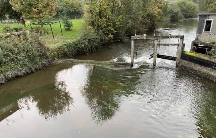 Umfeld. Derzeit laufen Restaurierungsarbeiten an der Sélune in Saint-Hilaire-du-Harcouët