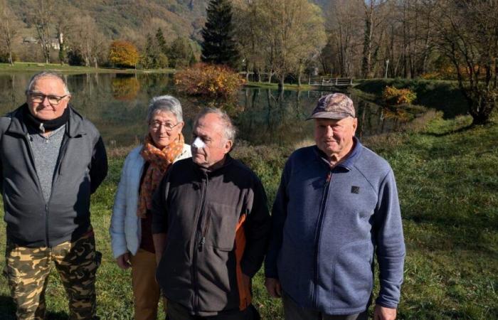 Haute-Savoie: Die Fischer des Marlens-Sees liegen im Krieg mit großen Kormoranen